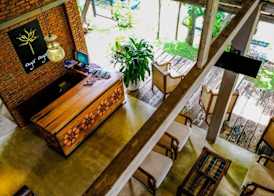 Ayur Ayur Resort & Ayurveda Retreat 2