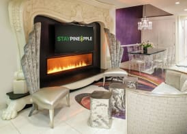 Staypineapple, An Artful Hotel, Midtown New York 4