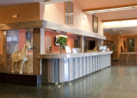 Spirit Hotel Ciudad de Burgos 3