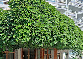 The Grove Seaside Hotel 2