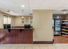 Comfort Inn St Petersburg North 2