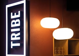 Tribe Medellín 5