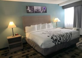 Sleep Inn Terre Haute University Area 5