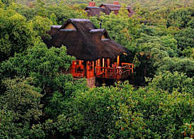 Makweti Safari Lodge 4