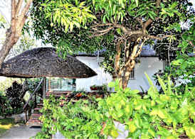 Viewpoint Lodge & Safari Tours 2