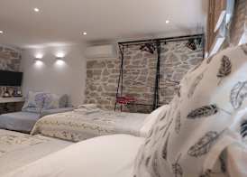 Homey 1-BR Apt 3