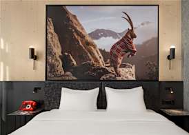 Radisson RED Innsbruck 2