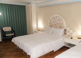 Modern Plaza Hotel 4
