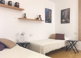 Aiguaneu Apartaments Center 4