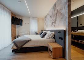 Mostesi Dolomites Spa Hotel 3