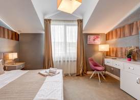Hotel Roberto Slanic Prahova 4