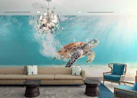 SpringHill Suites by Marriott Bradenton Downtown/Riverfront 3