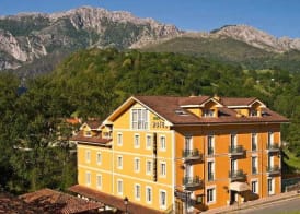 Hotel Picos de Europa 3