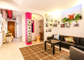 The Beehive Hostel 5