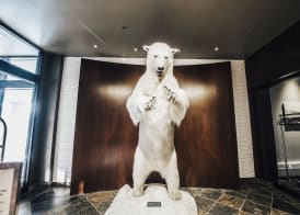 The Explorer Hotel 2