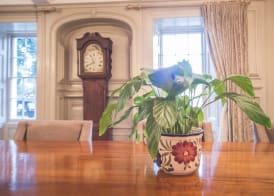 Llwyngwair Manor, Newport, PEMBROKESHIRE 4