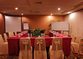 Grand Elite Hotel Pekanbaru 5