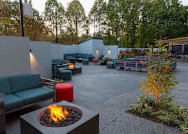 Hilton Garden Inn Asheville South 4