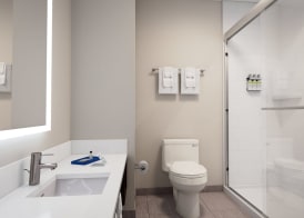 Holiday Inn Express & Suites Charlottesville by IHG 4