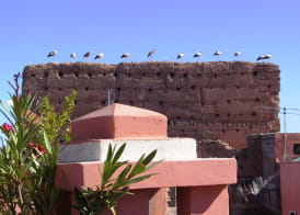 Riad el Farah Kasbah 4