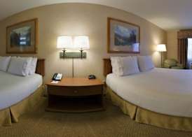Holiday Inn Express & Suites BISHOP by IHG 5