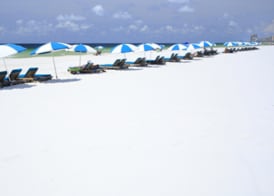 Island House Hotel Orange Beach - a DoubleTree by Hilton 5