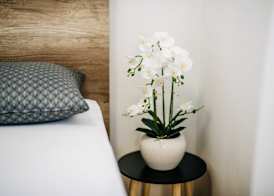 Apartment Wanda 3