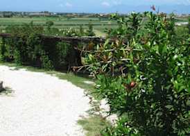 B&B Macchia d'Olmo 5