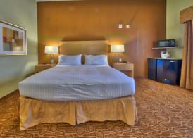Holiday Inn Express & Suites LUBBOCK SOUTHWEST - WOLFFORTH by IHG 5