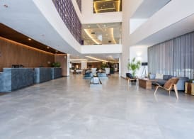 City Express Plus by Marriott San Luis Potosi 3