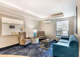 Comfort Inn & Suites Saint Louis Lafayette Square 3