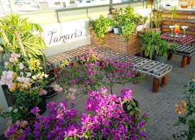 Tamaris Hotel 4