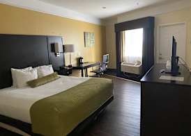 Galveston Beach Hotel 5