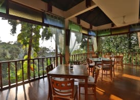 Ambong Rainforest Retreat 3