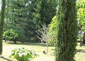 Bed & Tours Dimora di campagna 5
