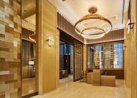 Hotel The Celestine Ginza 4