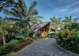 Elevate Bali 3