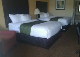 Quality Inn & Suites Covington 5
