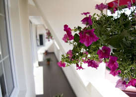 Tranzzit Hotel 2