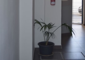 Apartamentos San Pablo 2