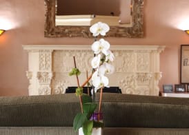 Hotel Carmel Santa Monica 4
