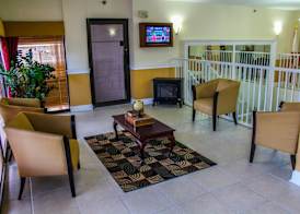 Fort Lauderdale Beach Resort by Vacatia 4