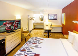 Red Roof Inn Albany Airport 5