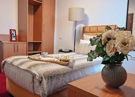 Bucharest Airport Hotel 4
