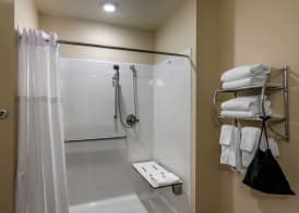 Comfort Inn South Chesterfield - Colonial Heights 4