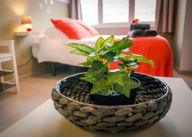 Holidays2Malaga Juan de Mena Apartments 5