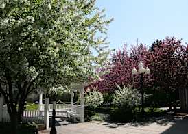 Hampton Inn Colchester 2