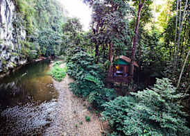 Our Jungle House 3