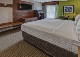Holiday Inn Express MEMPHIS MEDICAL CENTER MIDTOWN by IHG 3