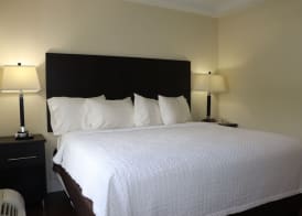 Curtis Inn & Suites 4
